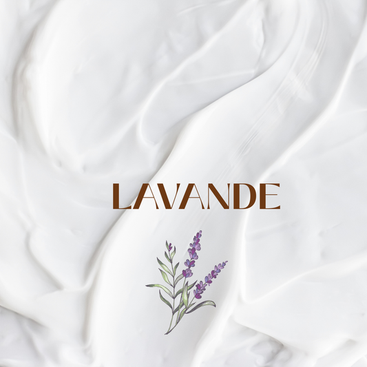 Beurre Corporel Onctueux – Lavande